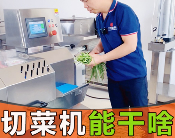 切菜機(jī)分為大中小型號(hào)，到底能切什么菜？